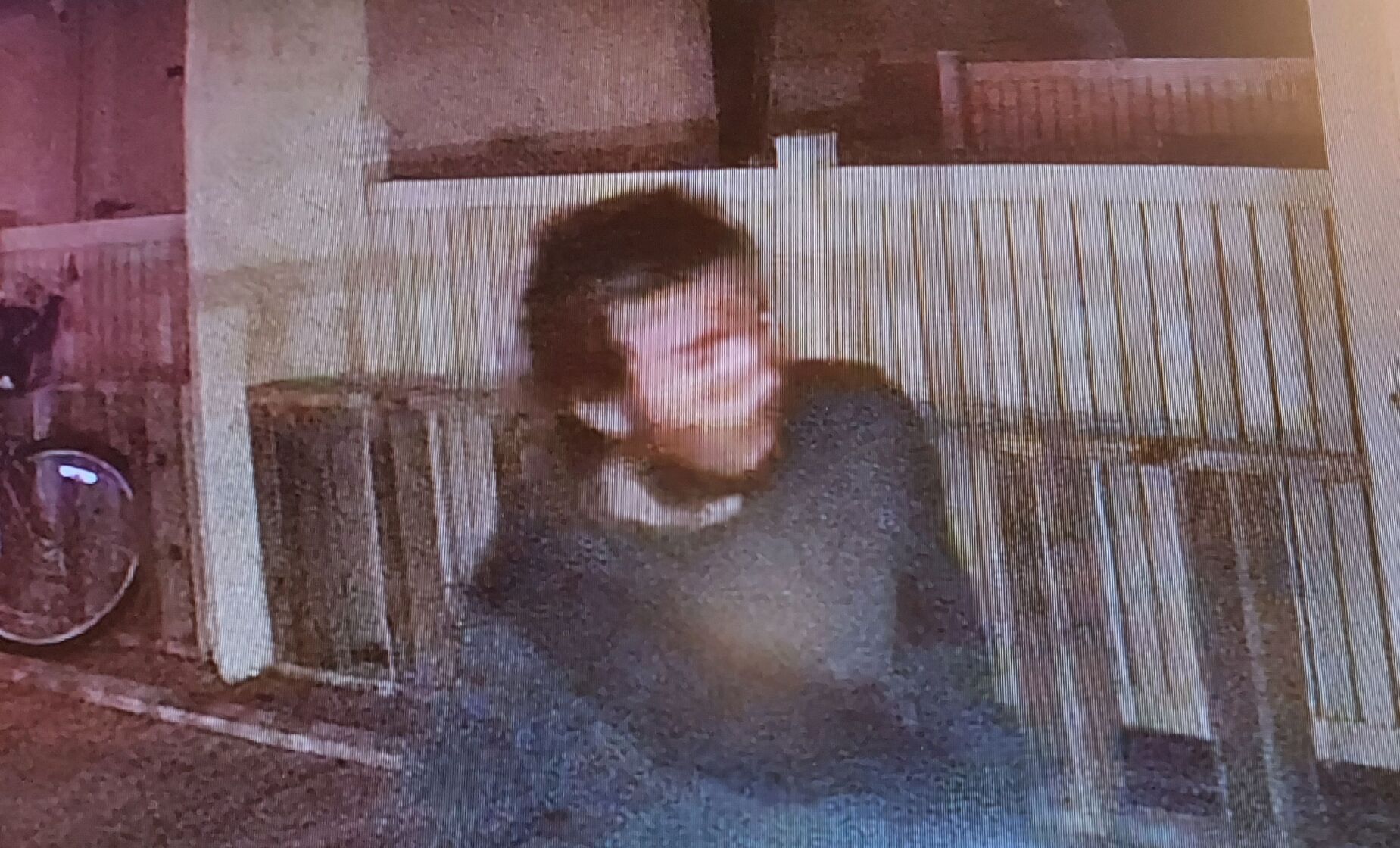 Bicycle theft suspect on camera
